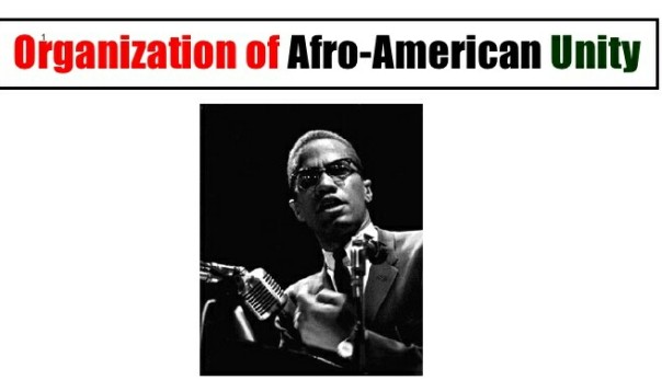 Image result for Malcolm X forms the Organization of Afro-American Unity