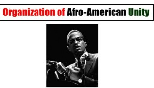 Image result for Malcolm X forms the Organization of Afro-American Unity